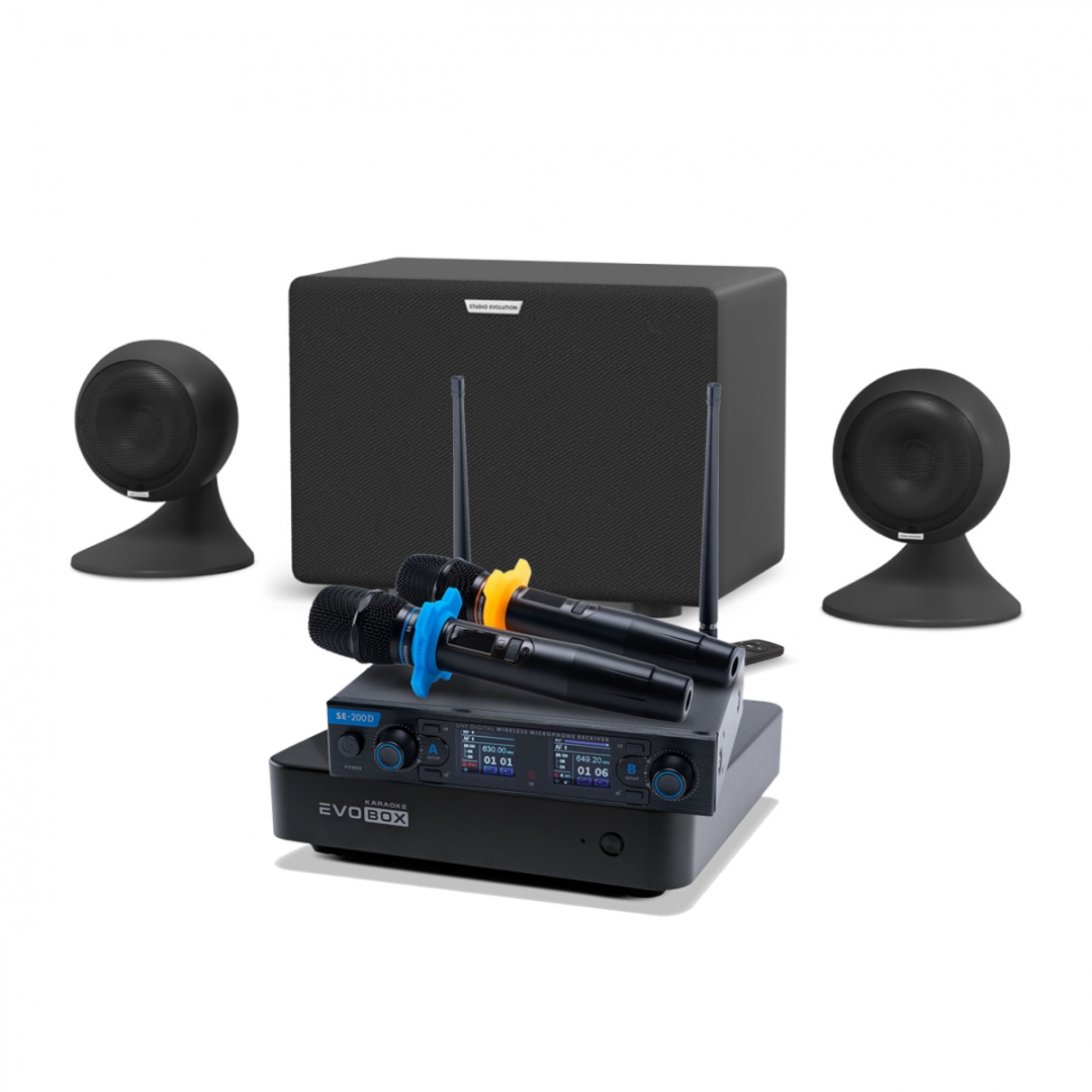 караоке-комплект EVOBOX + EvoSound Sphere 2.1 в Сальске