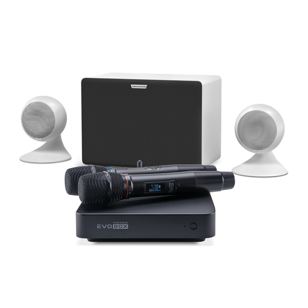 караоке-комплект EVOBOX Classic + EvoSound Sphere 2.1 в Сальске