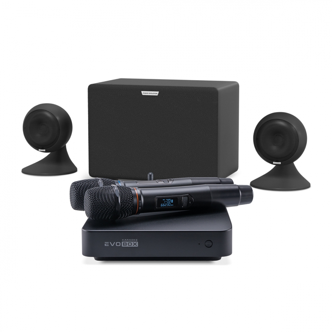 караоке-комплект EVOBOX Plus + EvoSound Sphere 2.1 в Сальске
