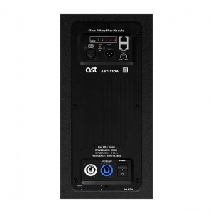 Активная акустическая система AST-310A в Сальске