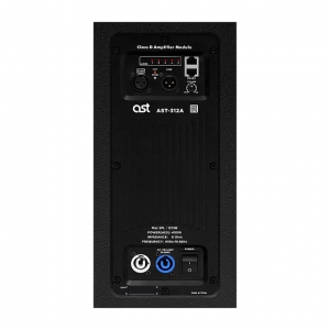 Активная акустическая система AST-312A в Сальске