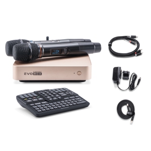 EVOBOX Classic караоке-система для дома в Сальске