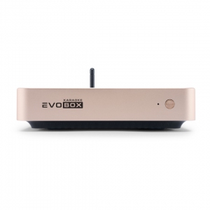 EVOBOX Plus караоке-система для дома в Сальске