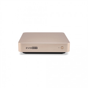 EVOBOX с микрофонами в Сальске